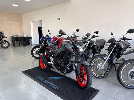 YAMAHA MT-03 300 ABS, Foto 2