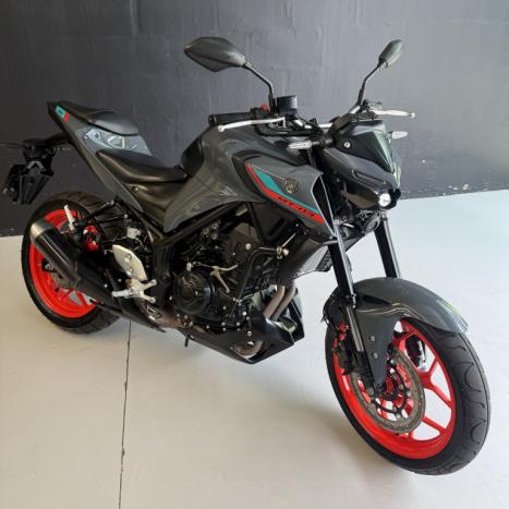 YAMAHA MT-03 300 ABS, Foto 3