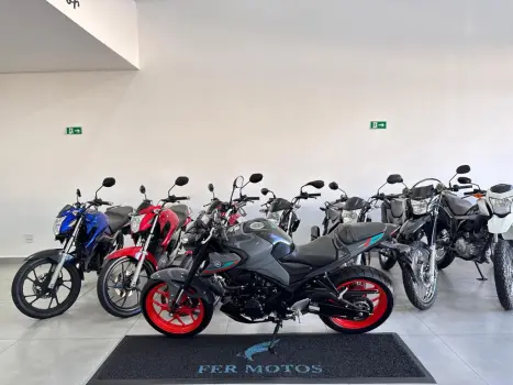 YAMAHA MT-03 300 ABS, Foto 4