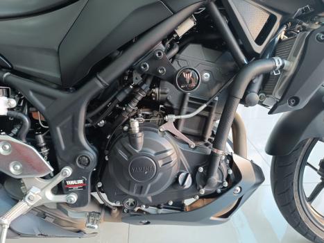 YAMAHA MT-03 300 ABS, Foto 10