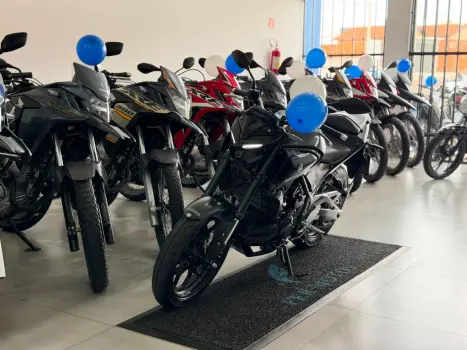 YAMAHA MT-03 300 ABS, Foto 3