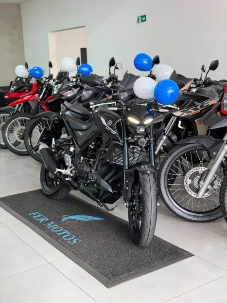 YAMAHA MT-03 300 ABS, Foto 7