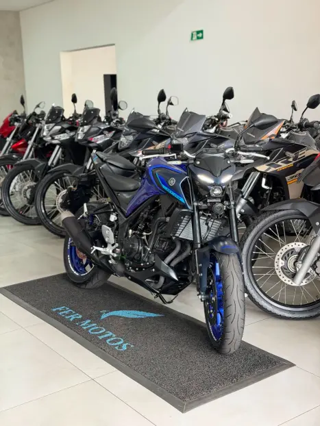 YAMAHA MT-03 300 ABS, Foto 6