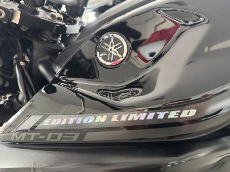 YAMAHA MT-03 300 ABS, Foto 11