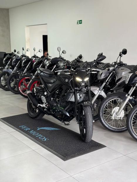YAMAHA MT-03 300 ABS, Foto 6