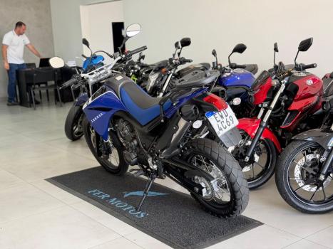 YAMAHA XT 660 R , Foto 5