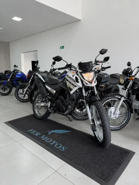 YAMAHA XTZ 150 Crosser S FLEX, Foto 2