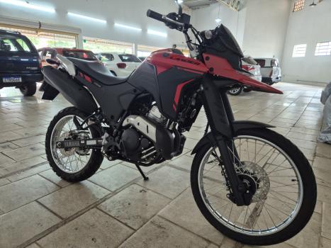 YAMAHA XTZ 250 LANDER, Foto 2