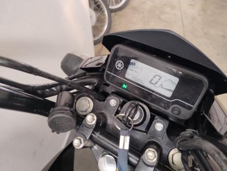 YAMAHA YBR 150 FACTOR ED FLEX, Foto 7