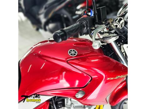 YAMAHA YS Fazer 250 LIMITED EDITION, Foto 3