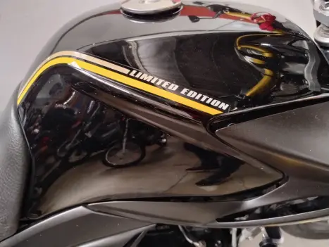 YAMAHA YS Fazer 250 LIMITED EDITION, Foto 7