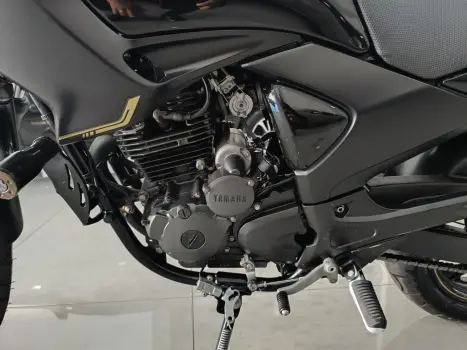 YAMAHA YS Fazer 250 LIMITED EDITION, Foto 10