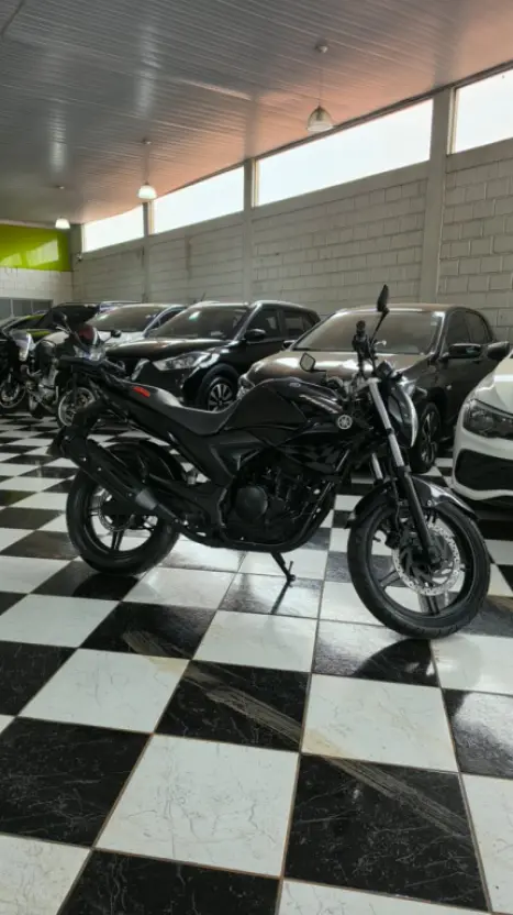YAMAHA YS Fazer 250 BLUE FLEX, Foto 1