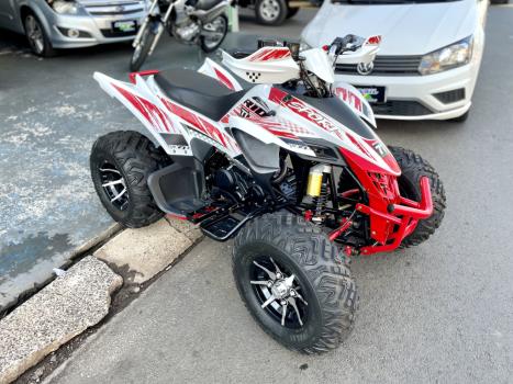 BRP CAN-AM DS 250 , Foto 2
