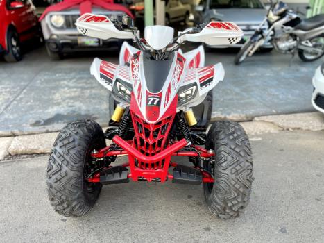 BRP CAN-AM DS 250 , Foto 3