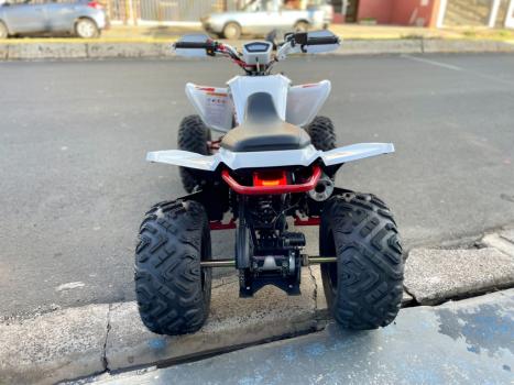 BRP CAN-AM DS 250 , Foto 6