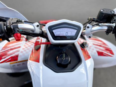 BRP CAN-AM DS 250 , Foto 8