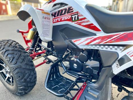 BRP CAN-AM DS 250 , Foto 9