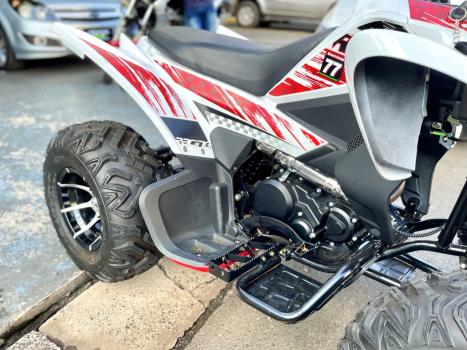 BRP CAN-AM DS 250 , Foto 10