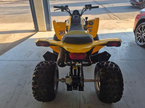 BRP CAN-AM DS 250 , Foto 5