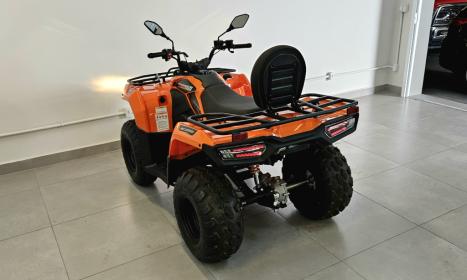 FUN MOTORS Farmer 200 , Foto 4