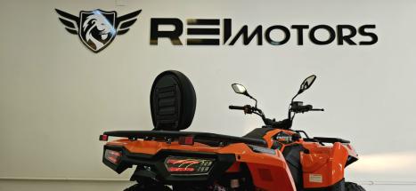 FUN MOTORS Farmer 300 , Foto 12