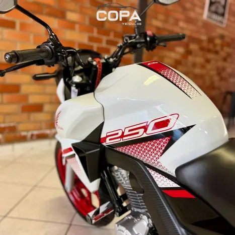 HONDA CB 250 F Twister FLEXONE, Foto 13
