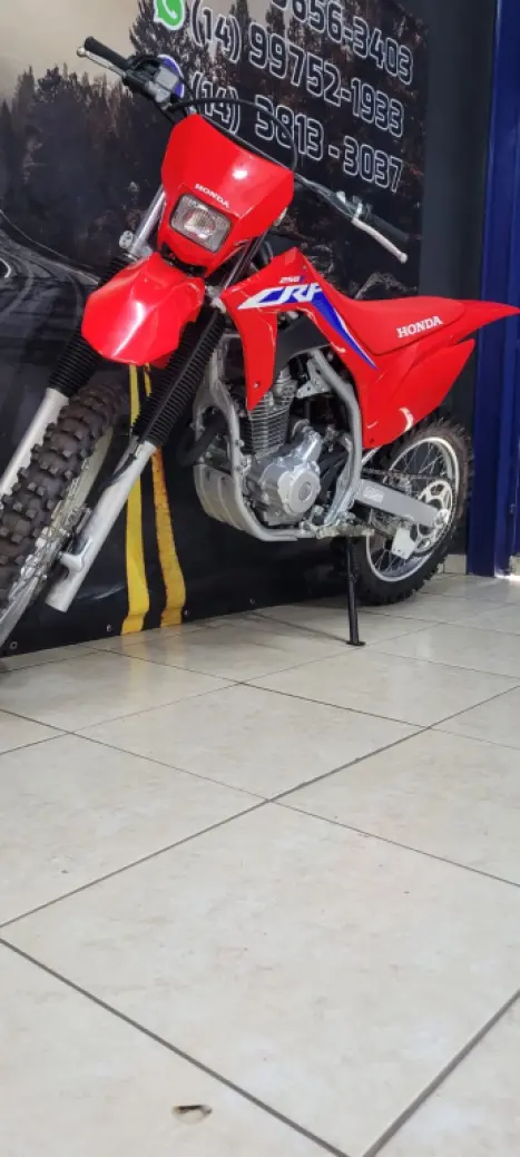 HONDA CRF 250 F, Foto 6