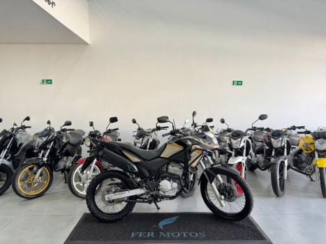 HONDA XRE 300 ADVENTURE, Foto 1
