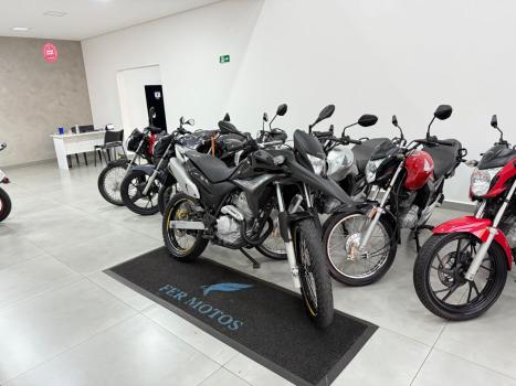 HONDA XRE 300 FLEX, Foto 2