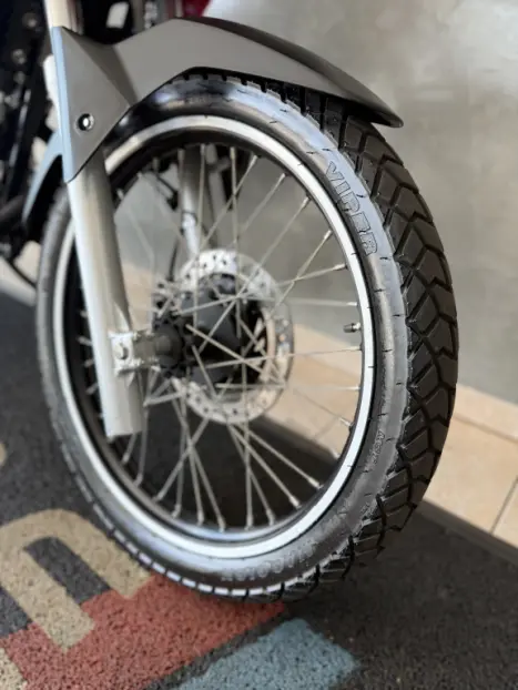HONDA XRE 300 RALLY ABS, Foto 11