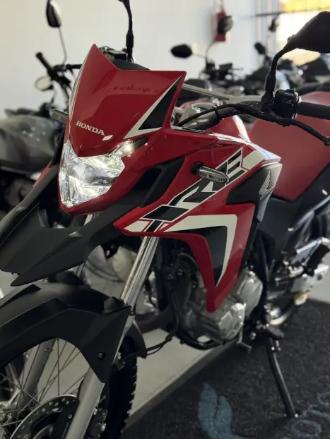 HONDA XRE 300 RALLY ABS, Foto 7
