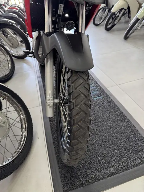 HONDA XRE 300 RALLY ABS, Foto 9