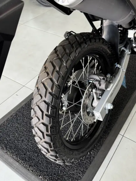 HONDA XRE 300 RALLY ABS, Foto 10