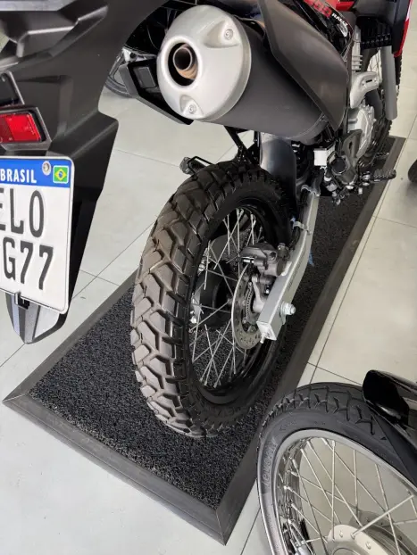 HONDA XRE 300 RALLY ABS, Foto 11