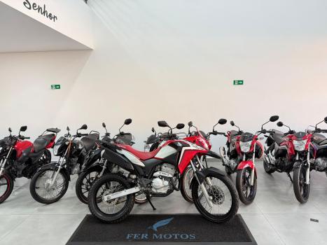 HONDA XRE 300 RALLY ABS, Foto 1