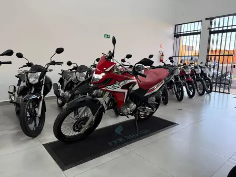 HONDA XRE 300 RALLY ABS, Foto 2