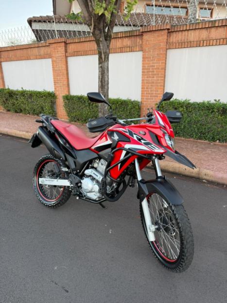 HONDA XRE 300 RALLY ABS, Foto 1