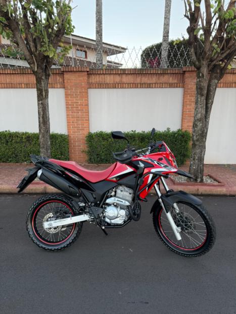 HONDA XRE 300 RALLY ABS, Foto 2