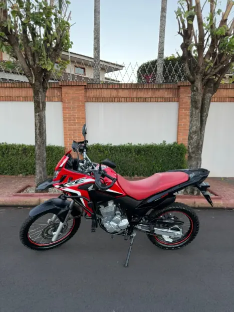 HONDA XRE 300 RALLY ABS, Foto 6