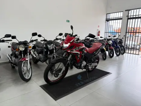HONDA XRE 300 RALLY ABS, Foto 4