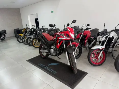 HONDA XRE 300 RALLY ABS, Foto 5