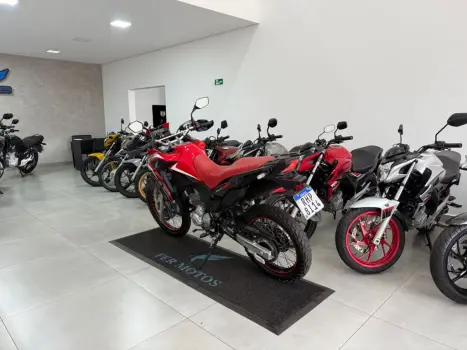 HONDA XRE 300 RALLY ABS, Foto 7