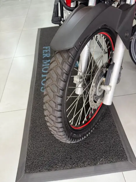 HONDA XRE 300 RALLY ABS, Foto 10