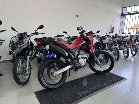 HONDA XRE 300 RALLY ABS, Foto 5