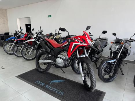 HONDA XRE 300 RALLY ABS, Foto 6