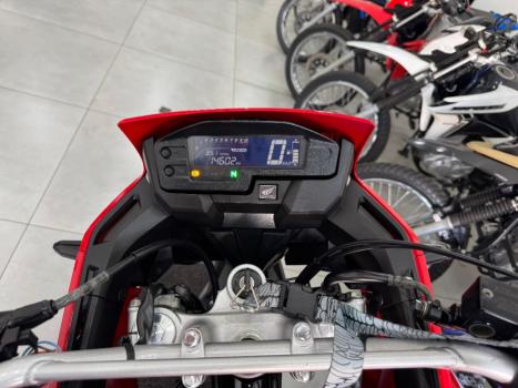 HONDA XRE 300 RALLY ABS, Foto 7
