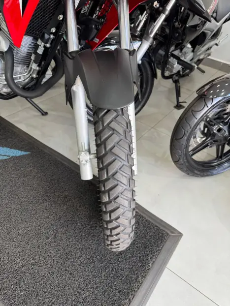 HONDA XRE 300 RALLY ABS, Foto 8