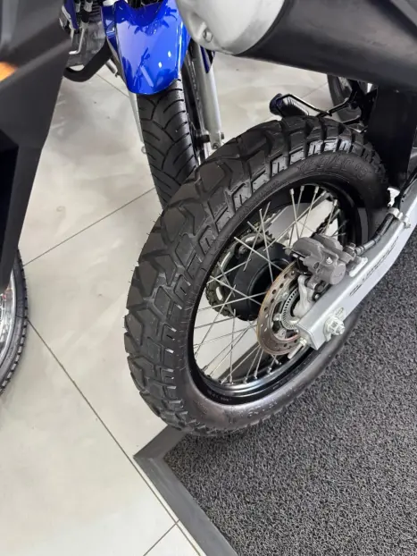 HONDA XRE 300 RALLY ABS, Foto 9