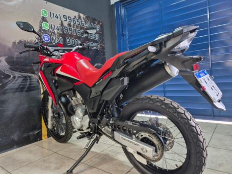 HONDA XRE 300 RALLY ABS, Foto 5